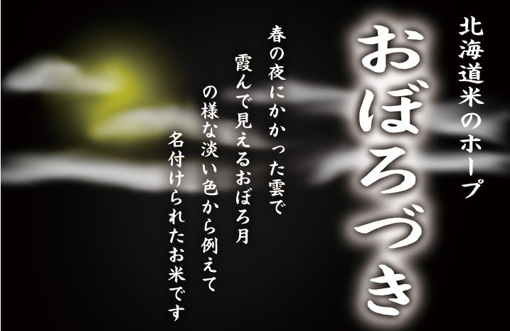 令和4年産北海道産おぼろづき5kg